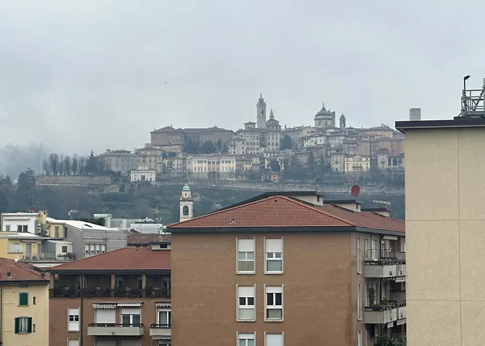 Feel - Bellavista * 贝尔加莫